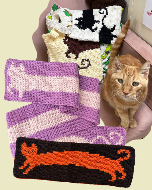 The Cat Connoisseur 🐈 Combo pack