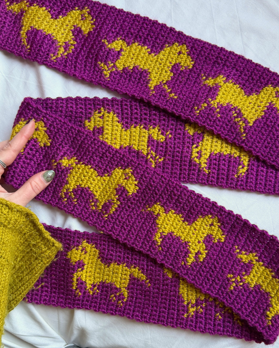 Patrón de bufanda a crochet ✧ Caballos